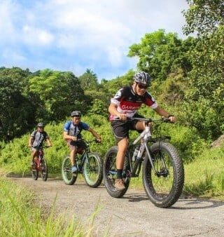 Mountain Bike (320x338)T